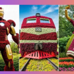 flower show ahmedabad