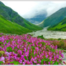 Valley of Flowers Trek 2025 - uttarakhand