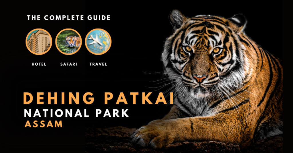 dehing patkai national park travel guide 2025